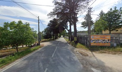 Aguiar, Irmaos, Lda. em Mangualde