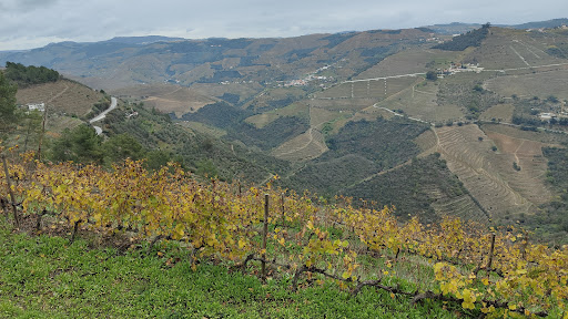 Trilho São Cristóvão do Douro em Provesende