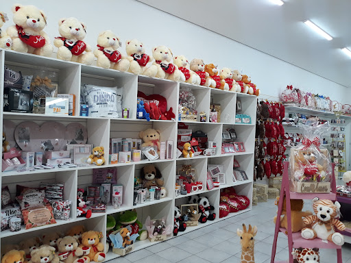 Urso Atrevido em São Paulo