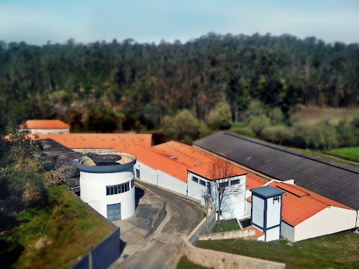 Úvea em Macieira da Maia