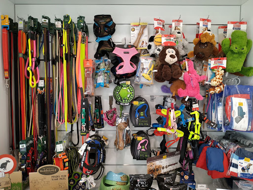VET +, PETSHOP – Montemor-o-Novo