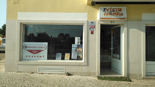 Vício Animal – Ferreira do Zêzere